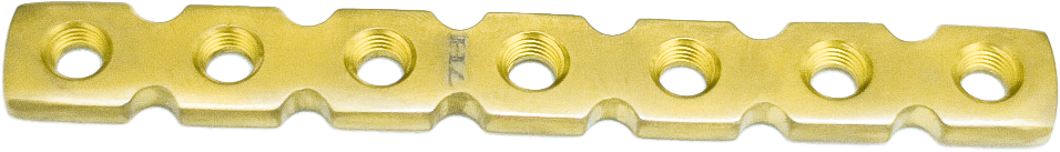 Реконструктивна блокуюча компресійна пластина, ЕЙЧ БІ ОРТО